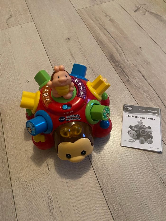 Coccinelle des formes - photo numéro 2