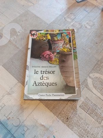 Le trésor des aztèques de Évelyne brissou-pellen