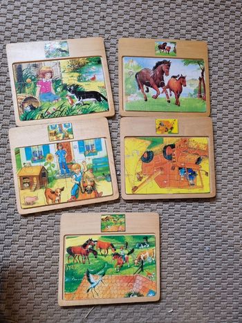 Lot de 5 puzzles bois complet