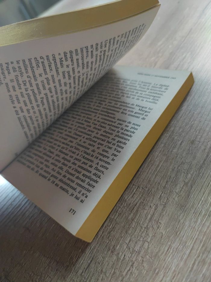 Journal d'Anne Frank - photo numéro 4