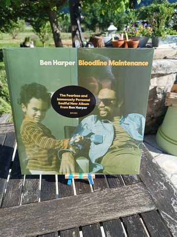Vinyle Bloodline Maintenance by Ben Harper 🪮