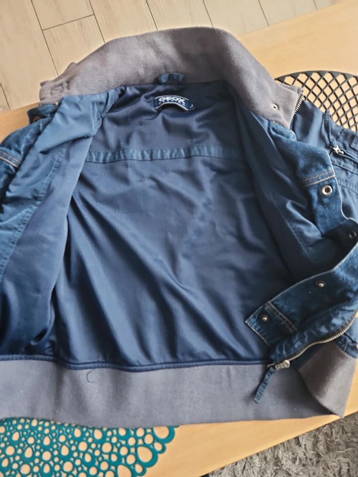 Vestes geox 6 ans - photo numéro 5