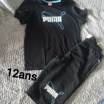 Ensemble puma