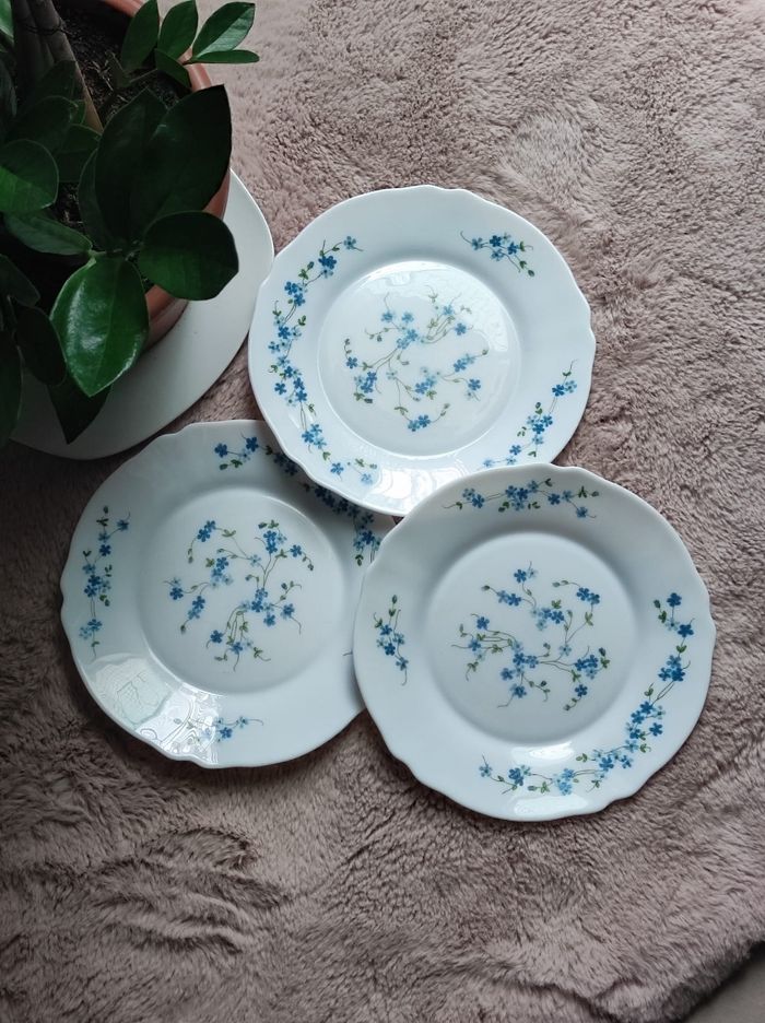 Assiettes plates arcopal