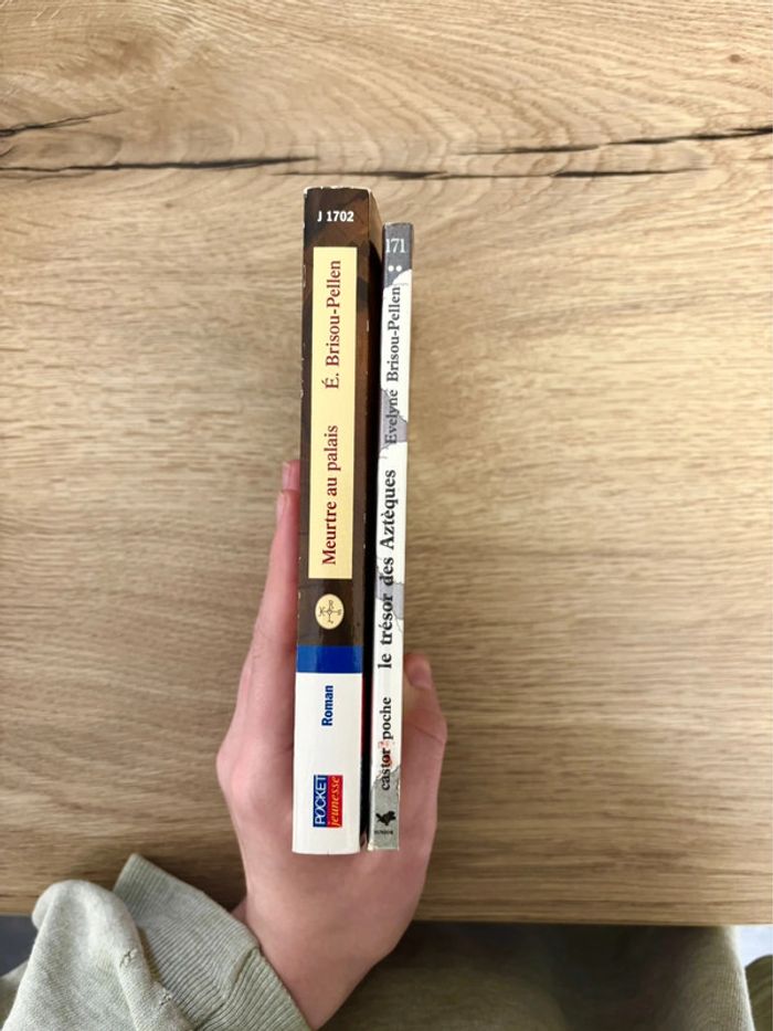 Lot de livres pour enfants - photo numéro 3