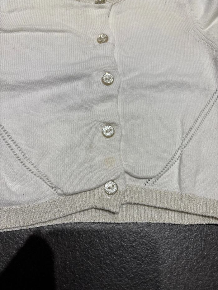 Gilet fin - photo numéro 3