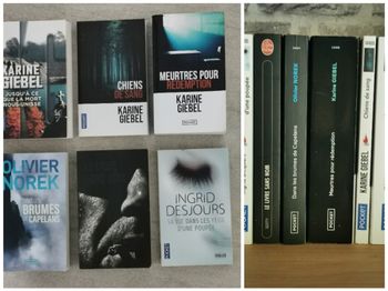 7 Thrillers dont 3 de Karine Giebel