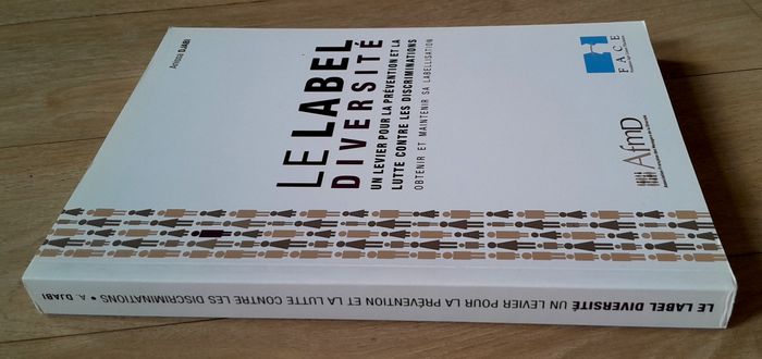 Anissa Djabi - le Label diversité - photo numéro 2