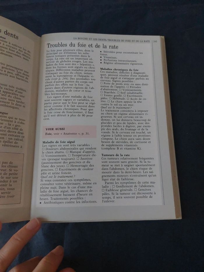 Vous et votre chien - photo numéro 9