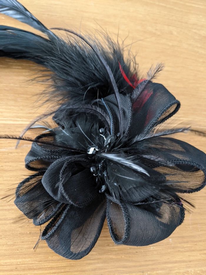 Pince plumes noires et rouges - photo numéro 2