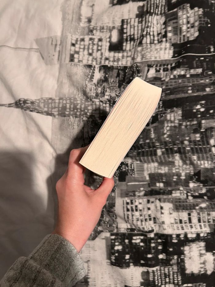 Livre reminders of him de colleen Hoover - photo numéro 6
