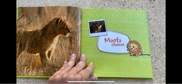 Livre TOut savoir sur le lion  ushuaia - photo numéro 4