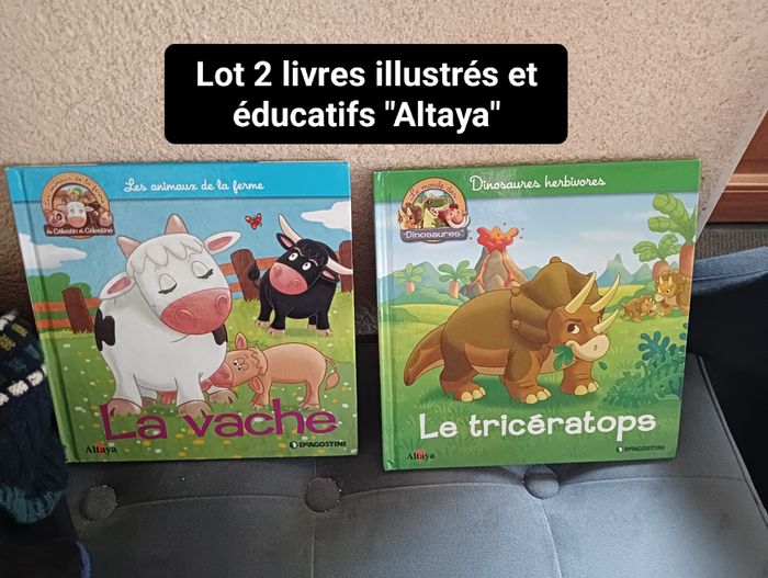 Lot livres enfant illustrés éducatifs Altaya