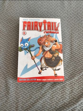 Manga Fairy tail 