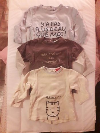 Lot de 3 tee-shirt taille 12 mois