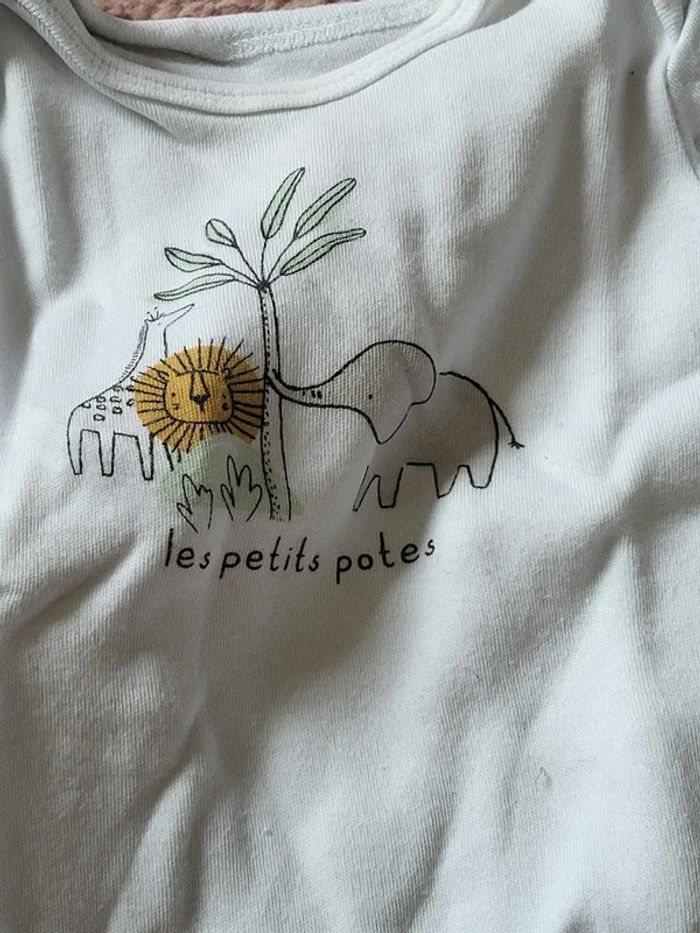 Bodie - photo numéro 2