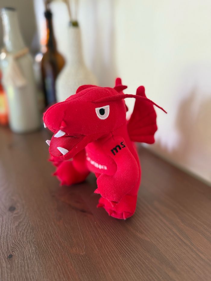 Dragon Lucky MSI - photo numéro 3