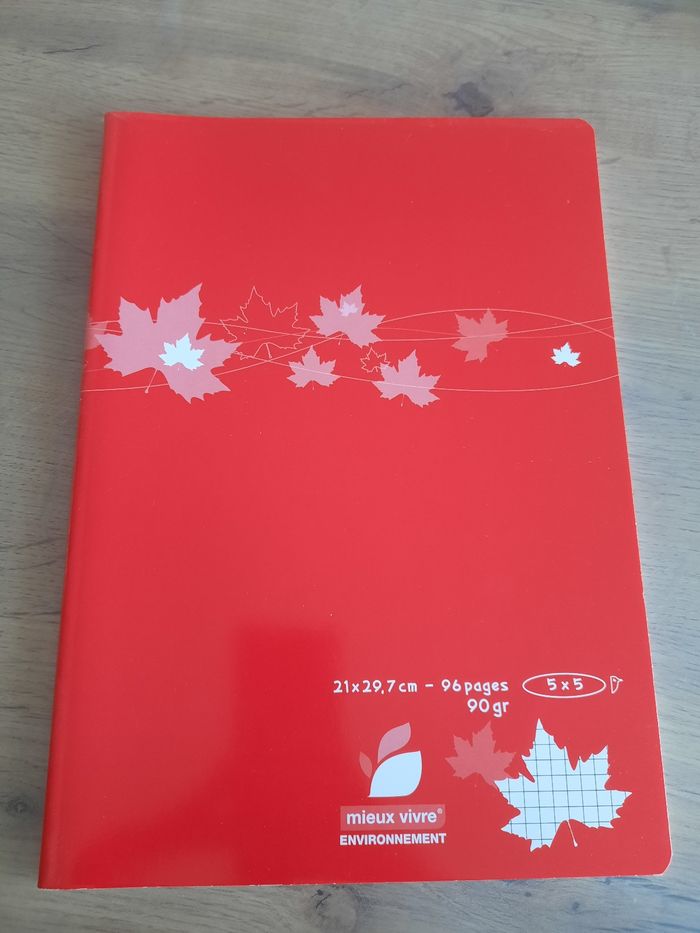 Cahier petits carreaux