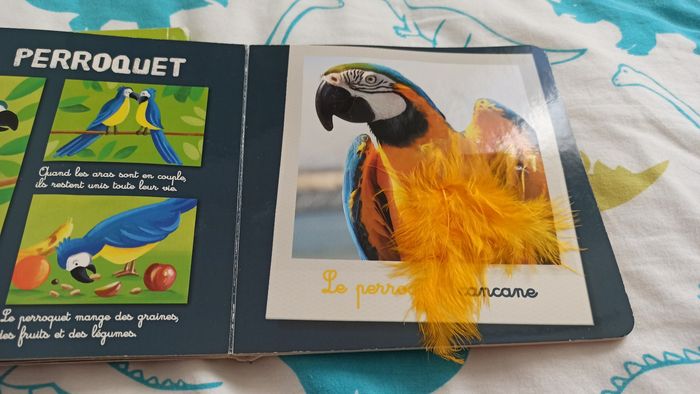 Lot livres à lire et à toucher - photo numéro 3