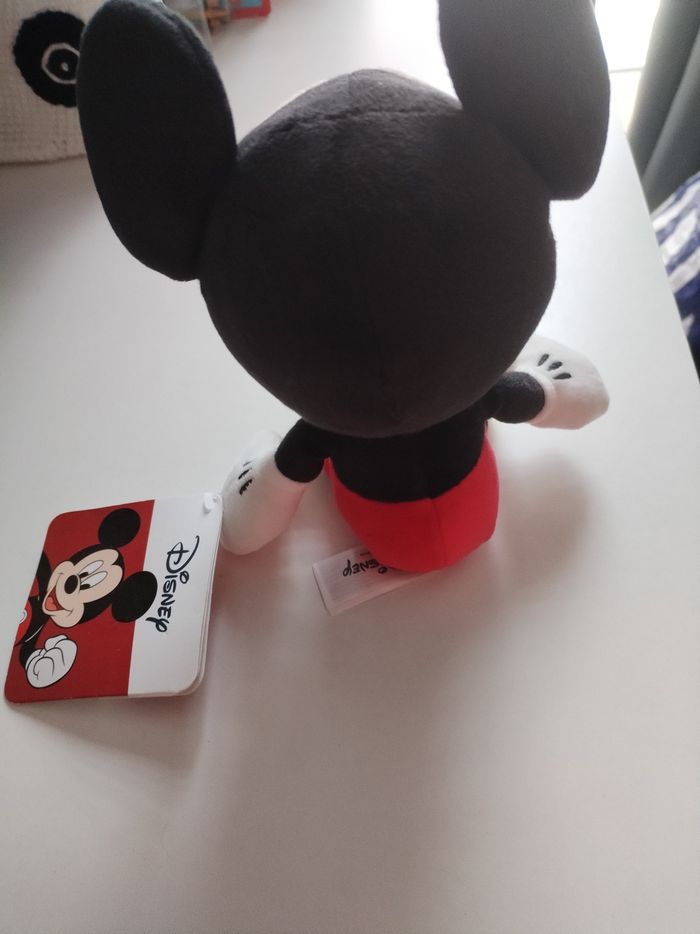 Mickey - photo numéro 6