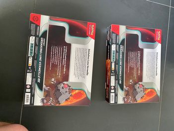 Lot de 2 coffrets ursaking