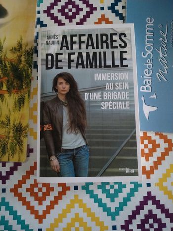 Livre affaires de famille Agnès naudin