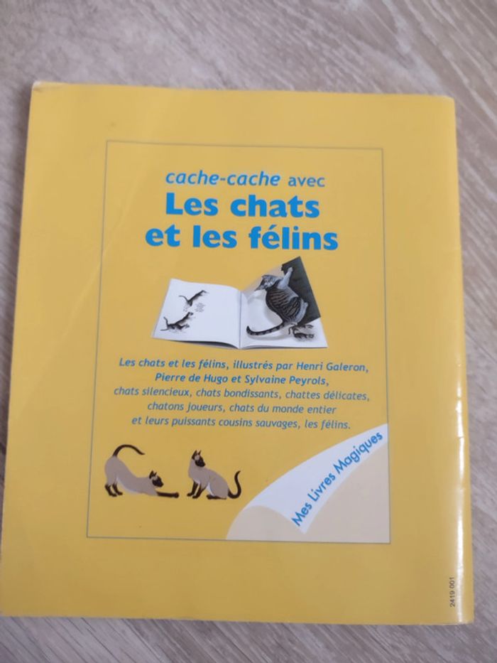 Mes livres magiques Cache cache avec les chats et les félins - photo numéro 4