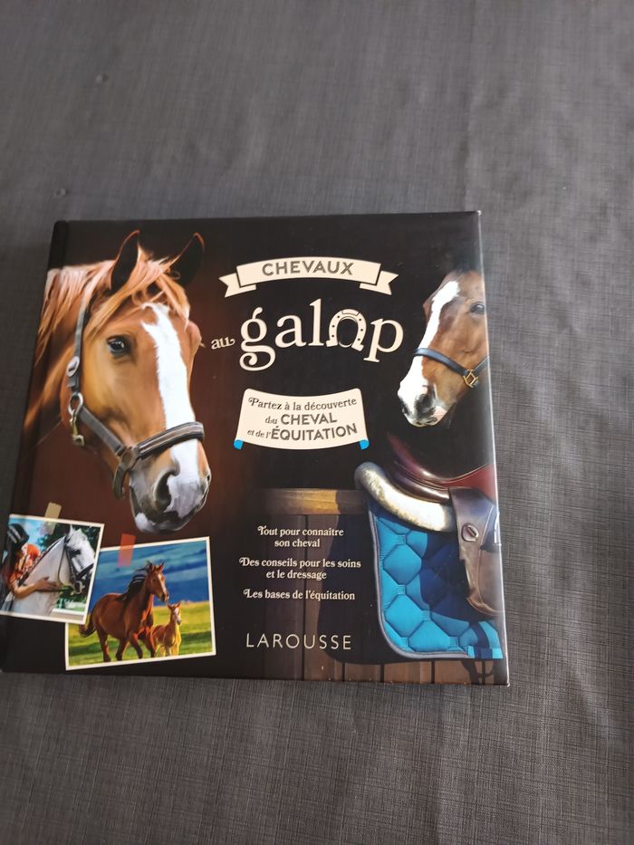 Livre sur les chevaux