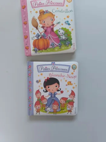 Lot de deux livres  cendrillon blanche neige