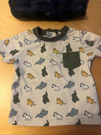 Tee shirt