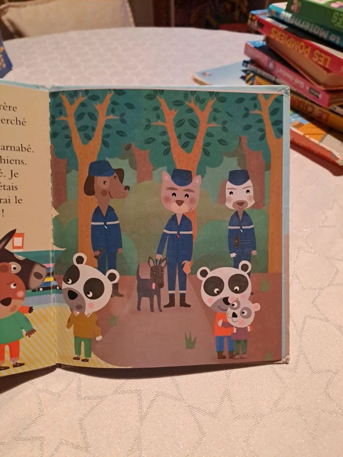 Livre les pompiers ça sert à quoi - photo numéro 6
