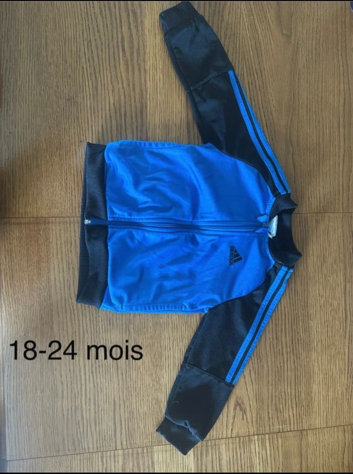 Veste
