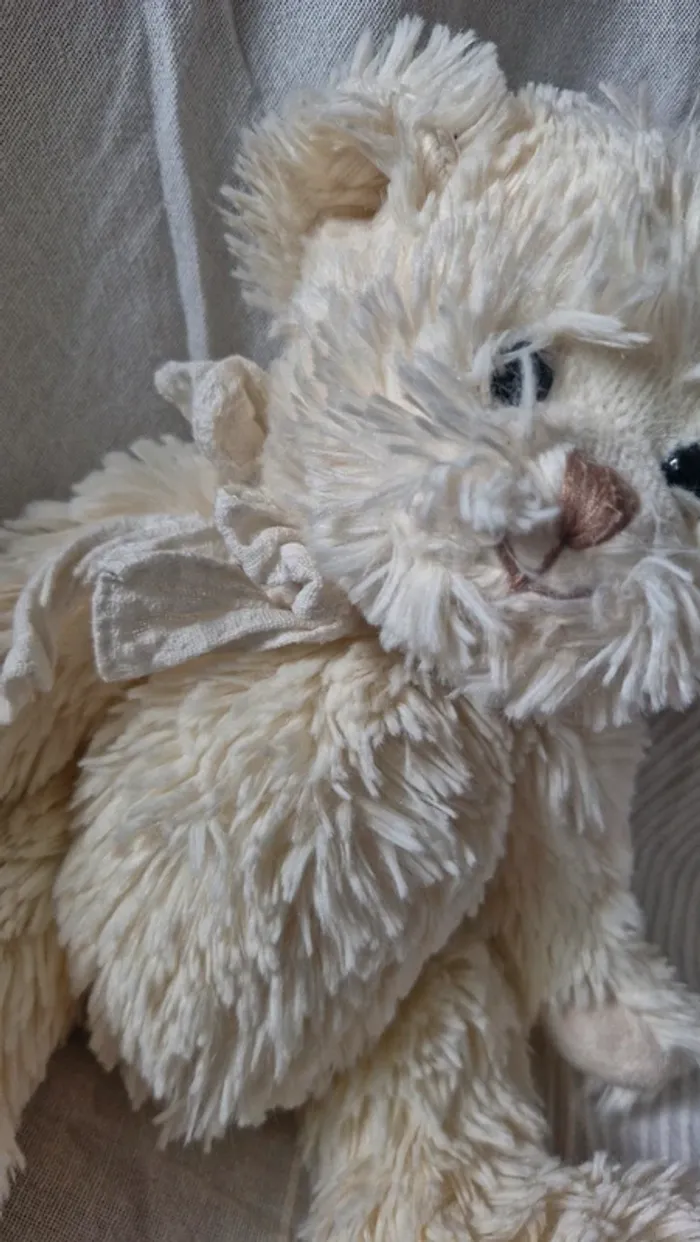 Ourson crème bukowski - photo numéro 5