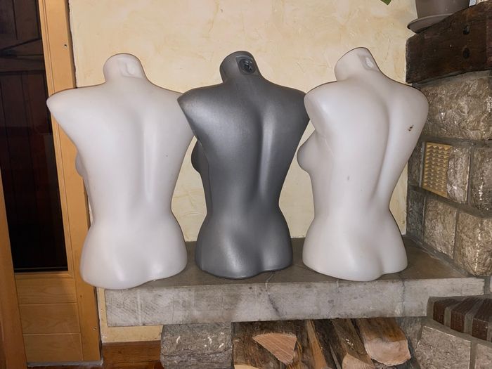 Buste plastique - photo numéro 2