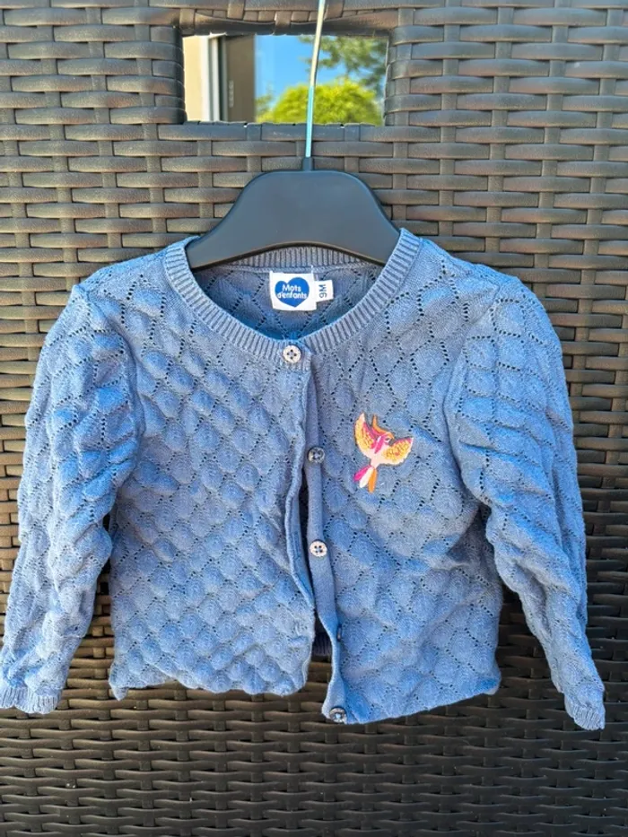Gilet bleu
