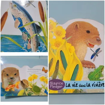 Rare, Superbe livre grand format à toucher 🐢 La vie dans la rivière 🐟