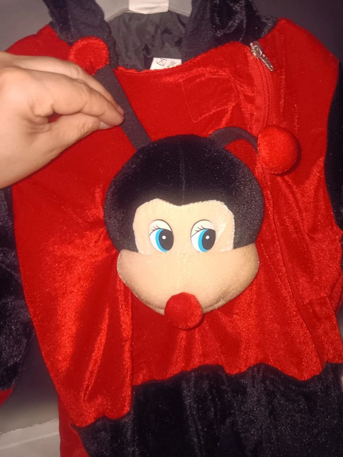 Combinaison déguisement coccinelle 12/18 mois - photo numéro 2