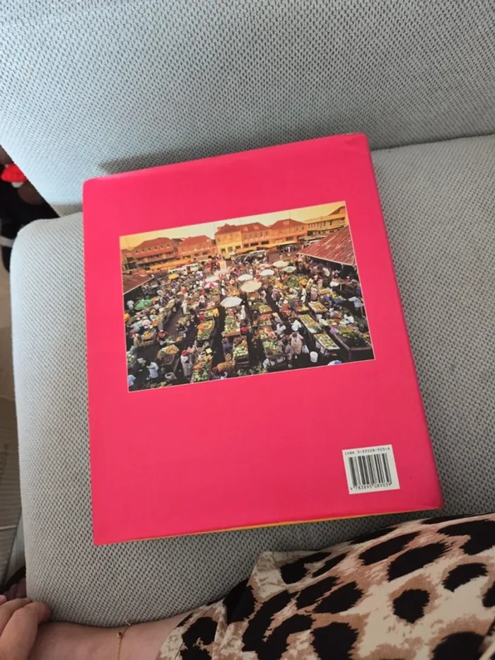 Livre les Antilles - photo numéro 3
