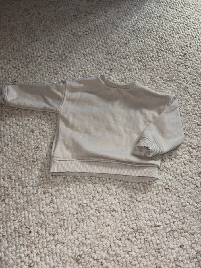 Sweat-shirt garçon ZARA - Taille 9-12 mois - Beige