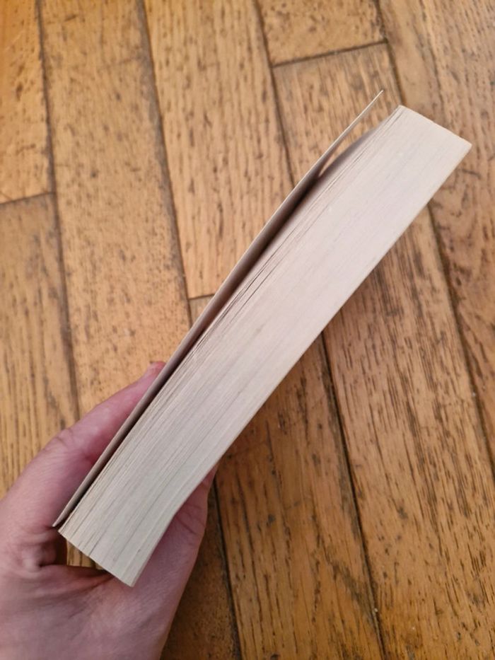 Lucinda Riley / Les Mystères de Fleat House - photo numéro 4