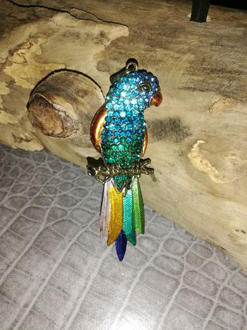 Pendantif perroquet