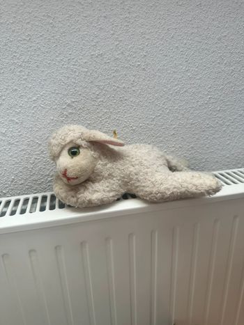 Agneau Steiff