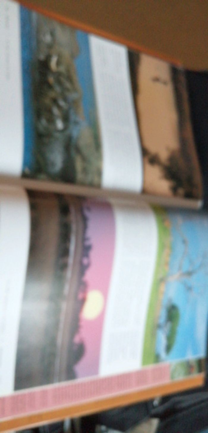 Livre l'Afrique australe - photo numéro 5