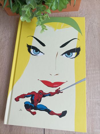 Bande dessinée Album Marvel Comics Spider-Man - Bleu - Panini
