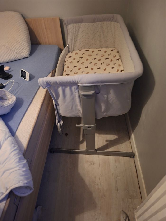 Cododo chicco - photo numéro 3