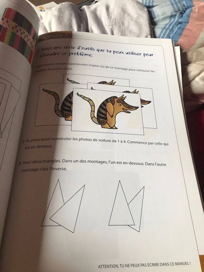 Tatou 4 math Plantyn - photo numéro 4