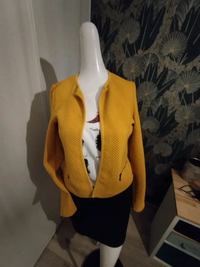 veste femme