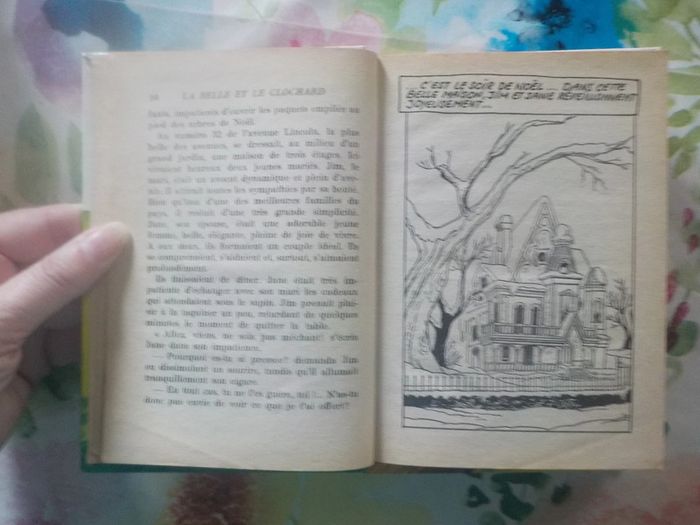 2 Bibliothèque Rose Robin des Bois et La Belle et le Clochard - photo numéro 6