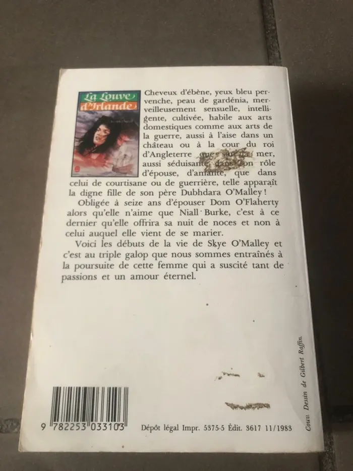 Livre la louve d’Irlande édition poche 📕 - photo numéro 3