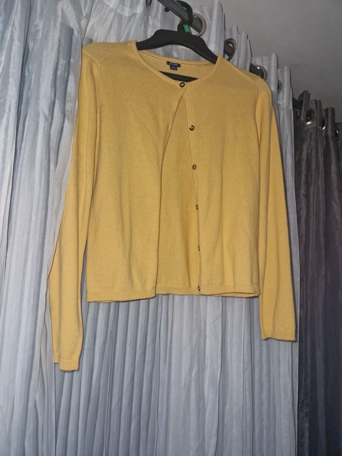 Gilet jaune - photo numéro 2